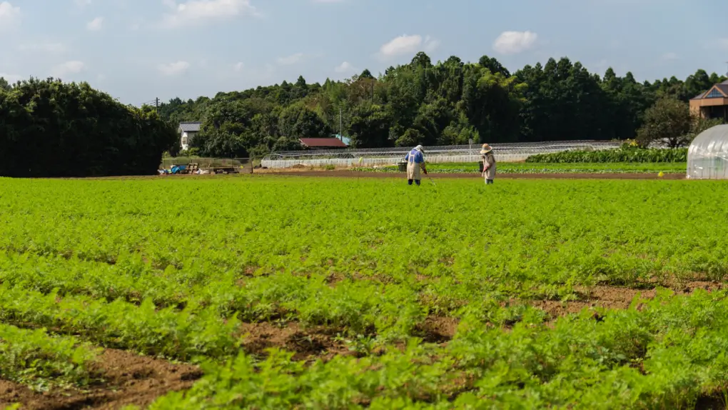 空中写真共同入手業務事務援助